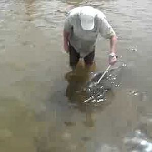 80lb Nile perch release on lake nasser egypt