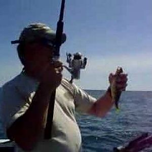 Perch Fishing on Lake Erie