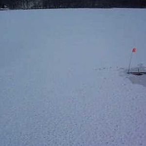 ice fishing perch