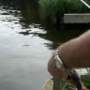 perch fishing on the norfolk broads