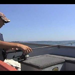 Lake Erie Perch Fishing-Fishing and Fun With JFick