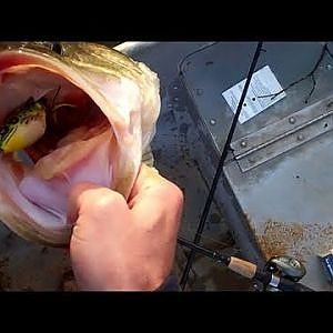 Topwater Largemouth Bass Fishing with Frogs. 6 Pounds 8oz.