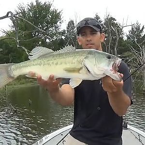 Wacky Worms for Largemouth Bass Fishing