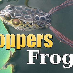 KOPPERS Live Target Frog - Topwater Fishing Tips (Hat Cam Bass)