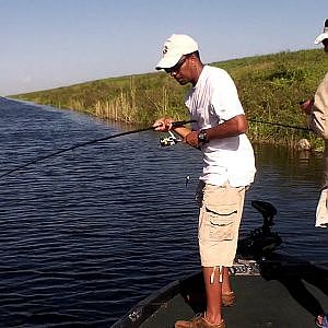 Florida Everglades Top Water Largemouth Bass Fishing