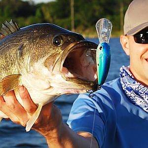 Power Fishing Tips - Buzzbait Crankbait and Spinnerbait Bass Fishing Tips