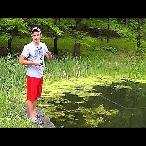 Topwater Frog Fishing For Bass