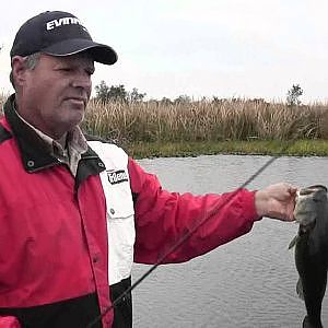 Bayou Black Bass Fishing