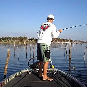 Largemouth Bass 6 and 9lbers on Topwater at Lake Fork