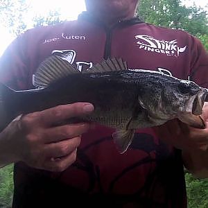 Bass Fishing Black Creek with Artificial Lizards