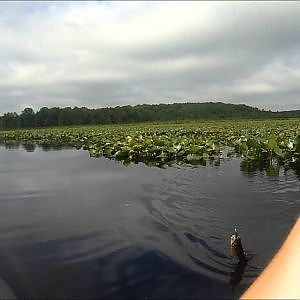 Black Moshannon Bass Fishing June 2013