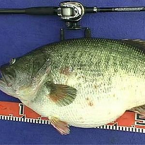 Manabu Kurita World Record Largemouth Bass