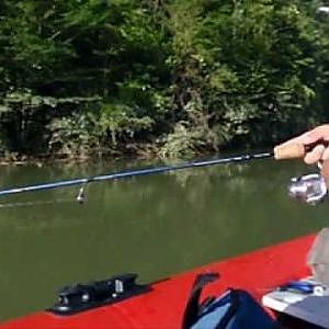 Casting, fishing Black bass