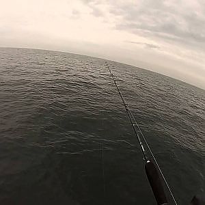 JIGGING for BLACK SEA BASS CAPE COD 2013