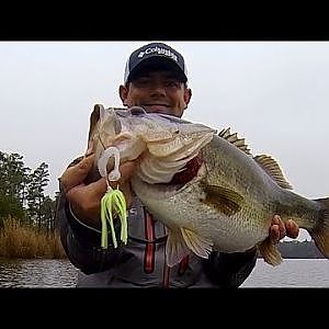 10 lb. Bass on a Chatterbait. Spring Bass Fishing.