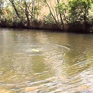 Nile perch fishing (Mayo-Oldiri river) N. Cameroon