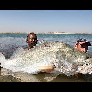 MONSTER NILE PERCH 114 LB IN LAKE NASSER EGYPT - HD by YURI GRISENDI