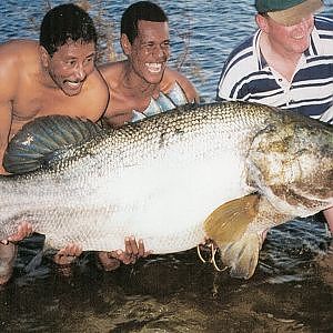 GIANT FISH! World Record Nile Perch