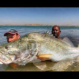 114 LBS MONSTER NILE PERCH IN SPINNING - HD by YURI GRISENDI