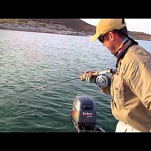 Mavungana Flyfishing Egypt - Trailer