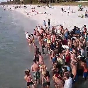 Huge Goliath Grouper Caught at Naples Fishing Pier, Florida