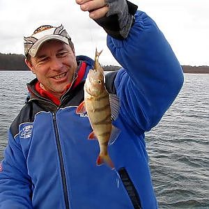 Barsche angeln mit Köderfisch und Pose am Schweriner See