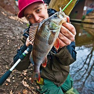 Angeln auf Barsch - Spinnfischen mit Micro-Baits im Winter