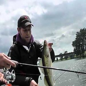 Super Zander,Fette Barsche!Vertikal angeln mit Stephan Gockel / neue Lucky Softlures im Test