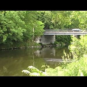 Angeln am Fluss auf Forelle, Döbel und Barsche