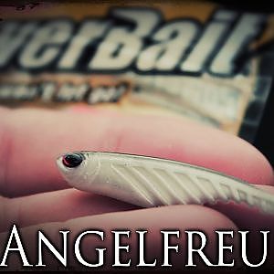 Barsche mit dem Berkley Powerbait Ripple Shad