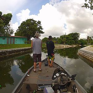 Peacock Bass Fishing in Florida