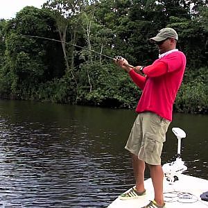 FISH FINDER PEACOCK BASS SPECIAL SURINAME [ FISH FINDER ]