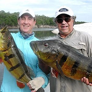 GRANDES PAVONES DE VENEZUELA. BIG PEACOCK BASS VENEZUELA.