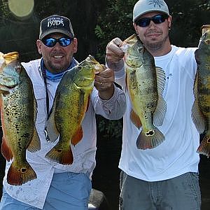 Peacock Bass Fishing Miami Florida with Eric and Captain Shane