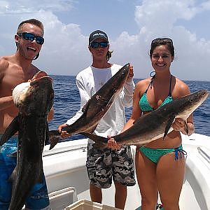 Girl Catches Cobia While Bait Fishing!