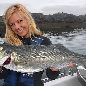 Babs fishing on irish seabass