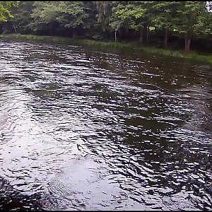 Fly fishing for big salmon - moments from the Mörrum River 2011. Catch and release by John