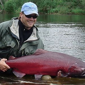 Huge 40Lb King Salmon on Fly-Royal Coachman Lodge in Alaska-HD Version