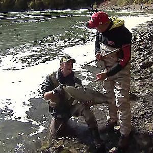 Chinook salmon river fishing, Niagara Whirlpool, Niagara River, ON