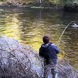 Frontside Salmon - Insane fly fishing evening in Sweden - frontsidefly