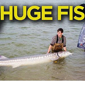 SALMON fishing and BIGGEST STURGEON EVER CAUGHT ON FILM - Carl and Alex Fishing - 2014