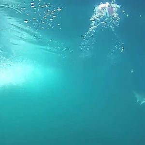 Underwater Downrigger Cam Camera Footage - See Salmon Stike at  Lure (meat rig), 2013