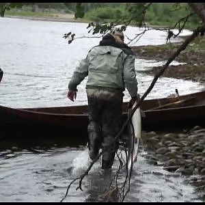 2. Fly fishing big salmon in the Alta River- How not to land a 22 pound salmon. Fly Fishing lessons-