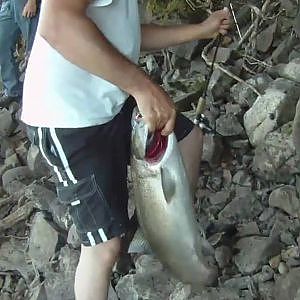 Fishing for salmon at Santiam river, Oregon