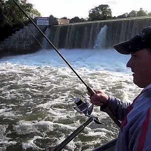 Oswego River Fall Salmon Fishing