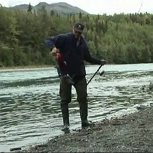 Alaska Moose Hunt, Salmon- Trout Fishing