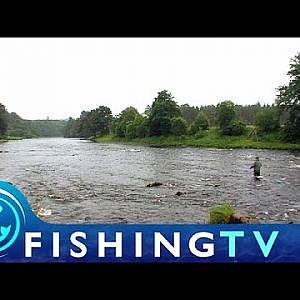 Salmon Fishing on the River Dee - Fishing TV