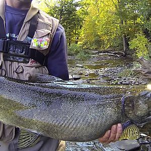 Salmon River Pulaski NY Flyfishing (GoPro)