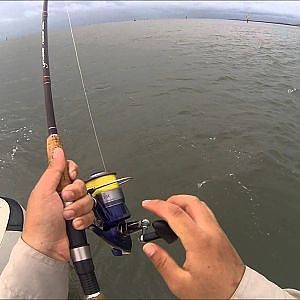 Port of Brisbane Fishing - Big Threadfined Salmon