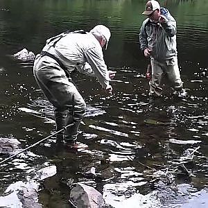 Salmon Fishing: Fly fishing lessons in Alaska